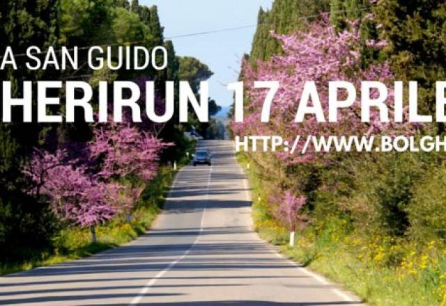 Bolgheri Run