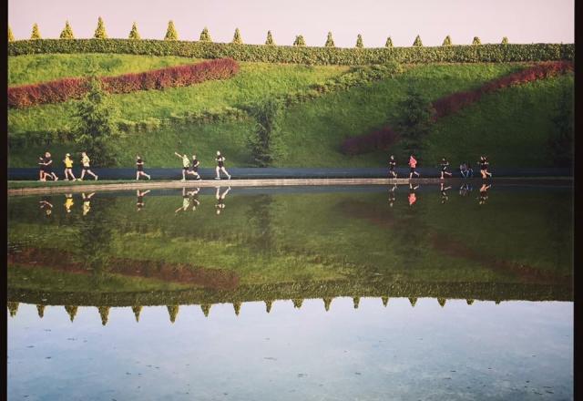 UR_Training_Run 2017
