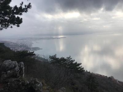 Corsa della Bora: il mio primo vero trail 17