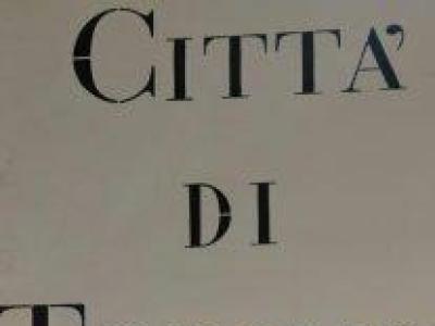 Da Torino ’21 alla Verona half marathon, passando per il trail all’Oasi Zegna, segnalati  Urban Runners 18