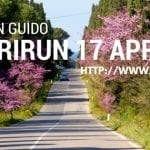 Bolgheri Run